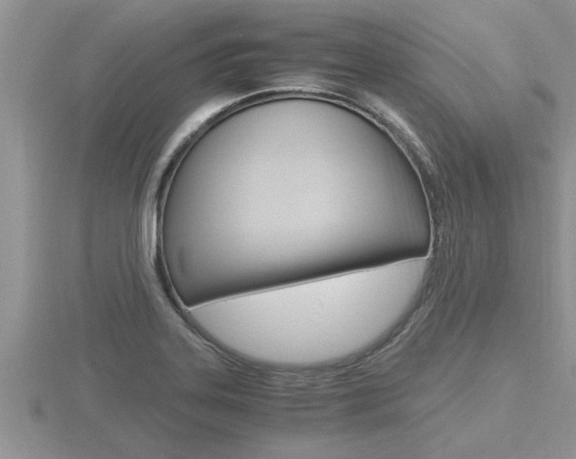 X0000116481323200912090918