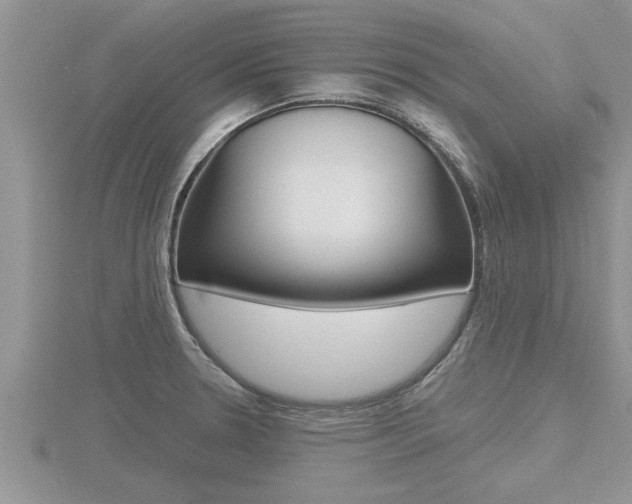 X0000116481330200912090919