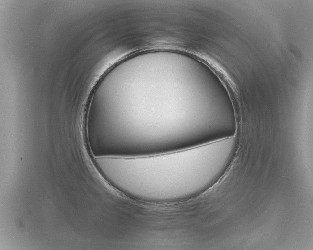 X0000116481333200912090919