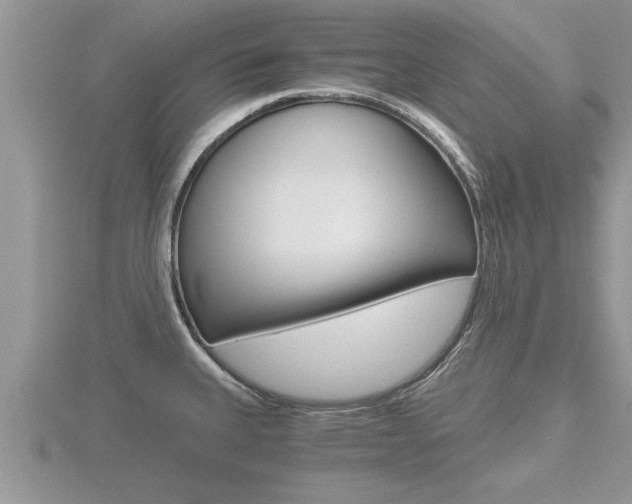 X0000116481335200912090919