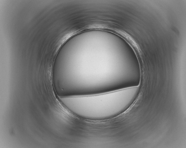 X0000116481337200912090919