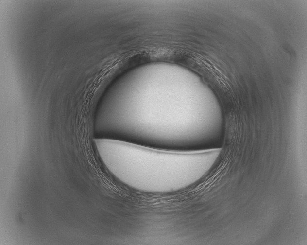 X0000116481345200912090918