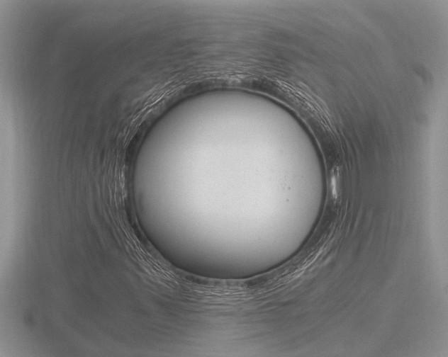 X0000116481347200912090918