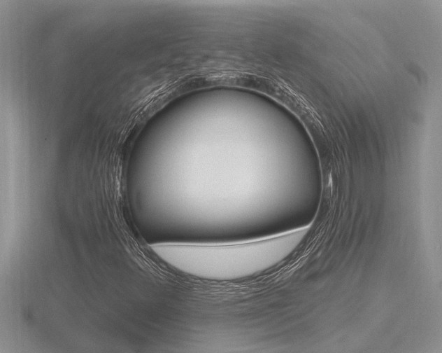 X0000116481348200912090918