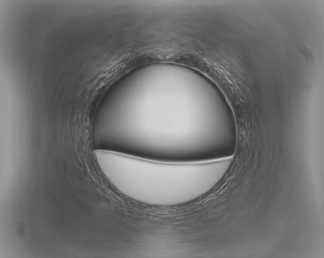 X0000116481349200912090918