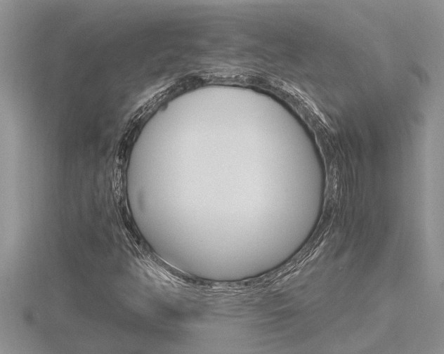 X0000116481350200912090918