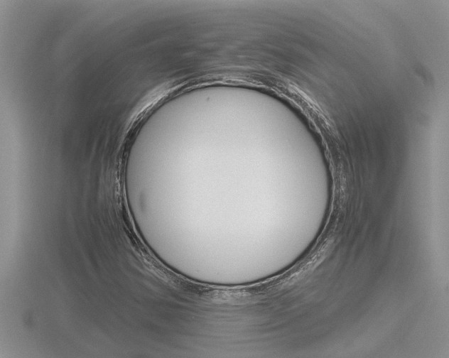X0000116481354200912090918