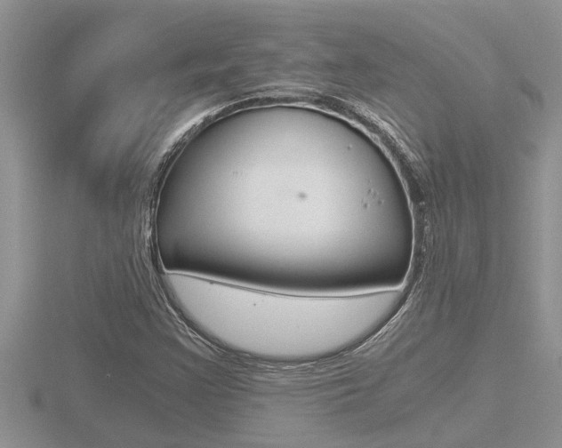 X0000116481355200912090918