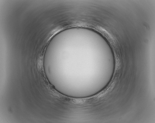X0000116481361200912090918