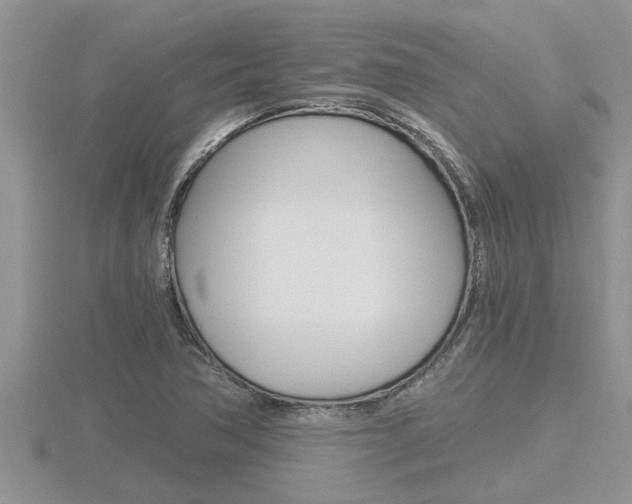 X0000116481362200912090918