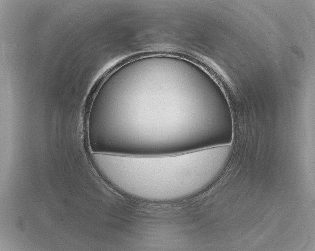 X0000116481364200912090918