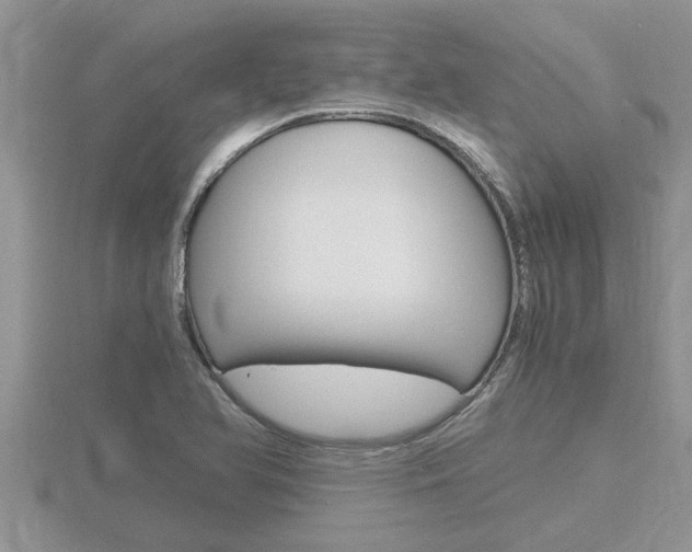 X0000116481366200912090918