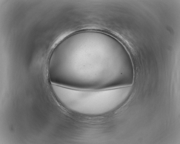 X0000116481367200912090918