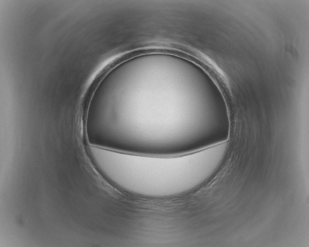 X0000116481368200912090918