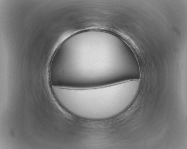 X0000116481375200912090918