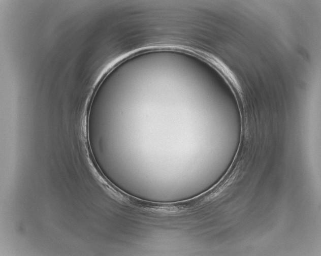 X0000116481388200912090918