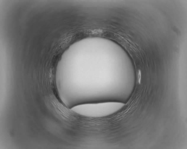 X0000116481395200912090917