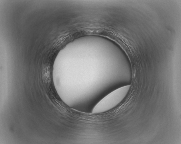 X0000116481396200912090917