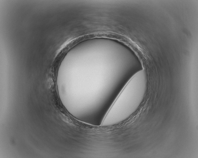 X0000116481400200912090917