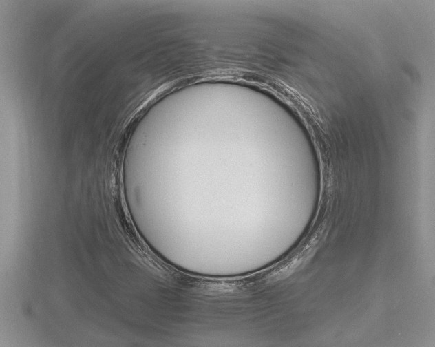 X0000116481401200912090917