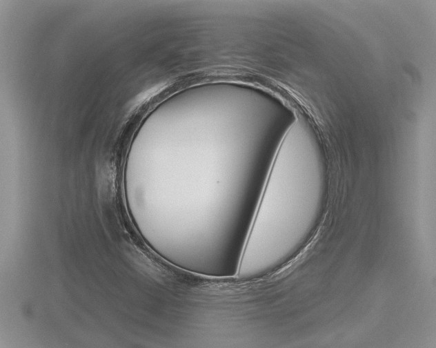 X0000116481402200912090917