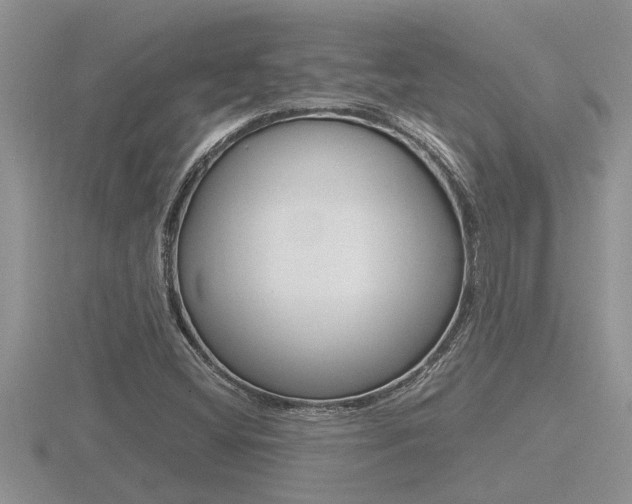 X0000116481404200912090917