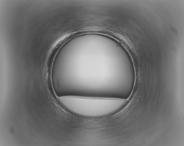 X0000116481406200912090917