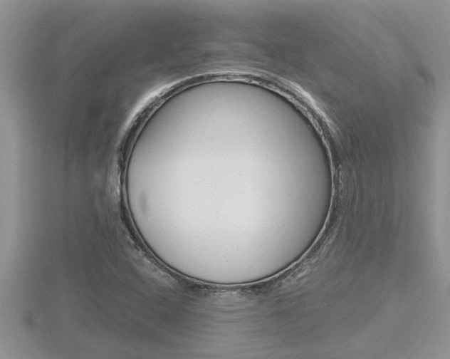 X0000116481408200912090917