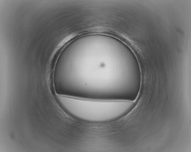 X0000116481410200912090917