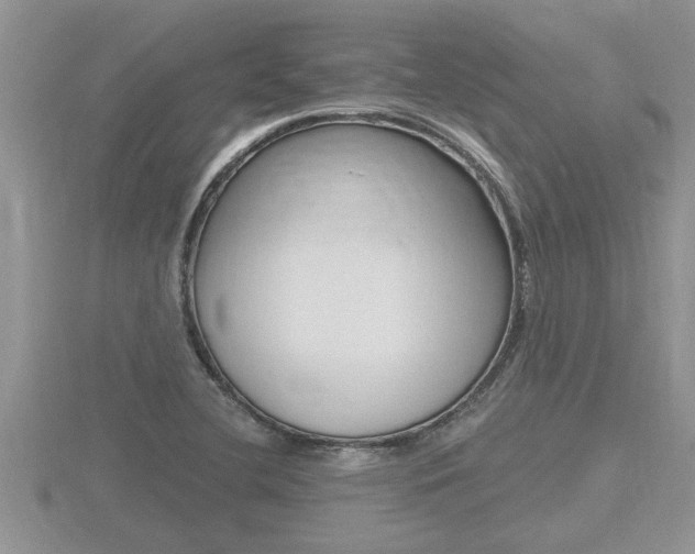 X0000116481412200912090917