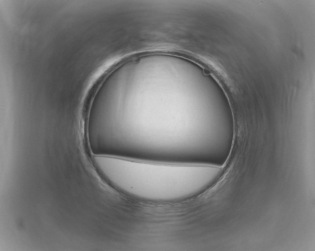 X0000116481414200912090917