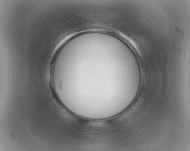 X0000116481415200912090917