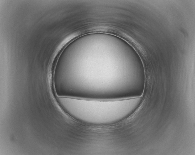 X0000116481418200912090917