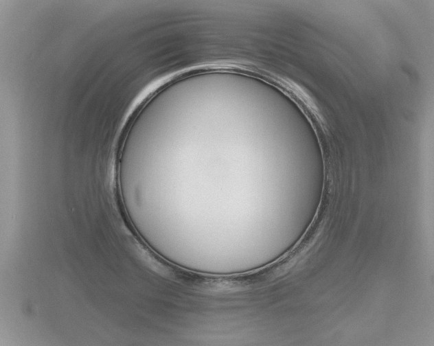 X0000116481420200912090917