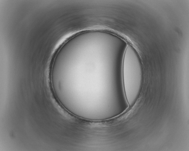 X0000116481422200912090917
