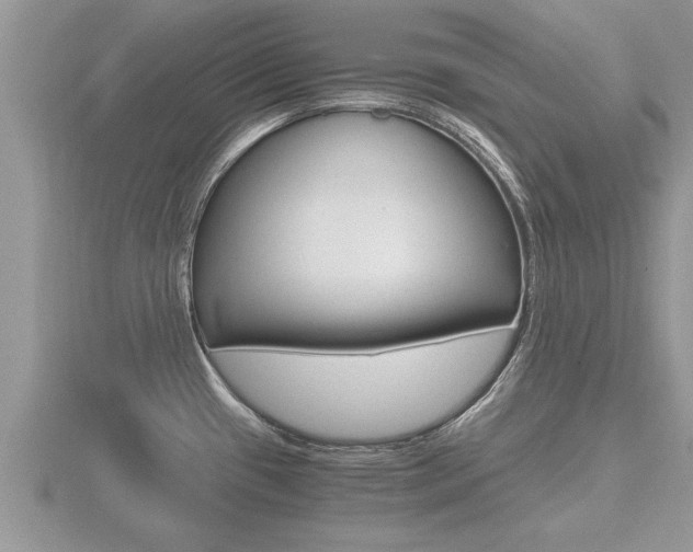 X0000116481433200912090917