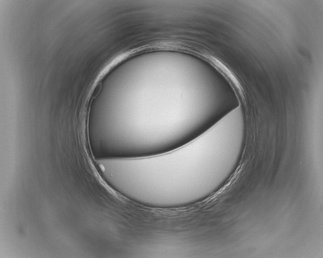 X0000116481437200912090917