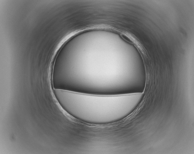 X0000116481438200912090917