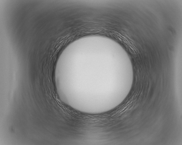 X0000116481441200912090917