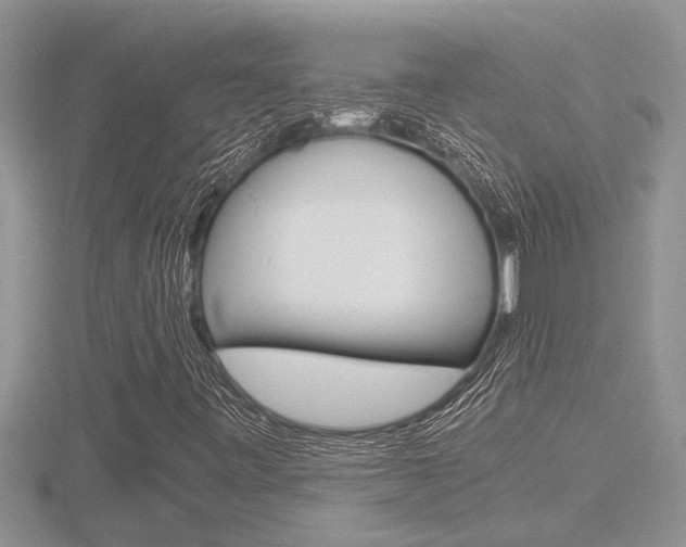 X0000116481443200912090916