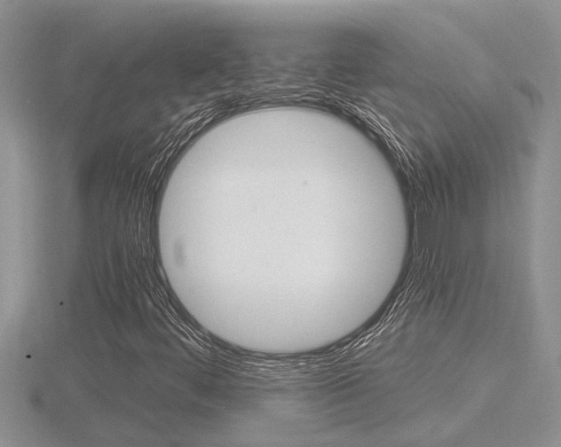 X0000116481444200912090916