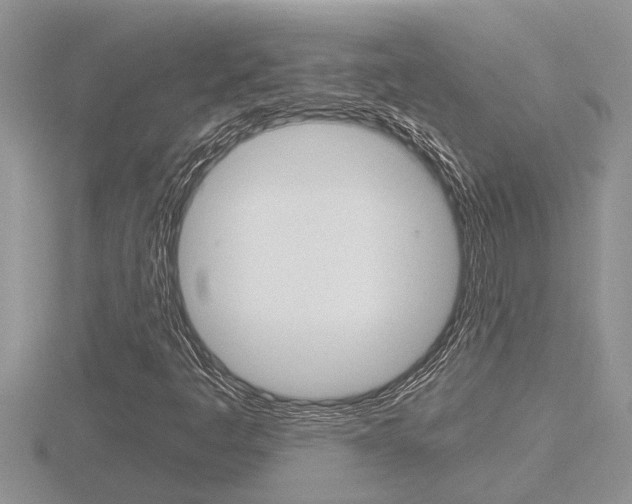 X0000116481445200912090916