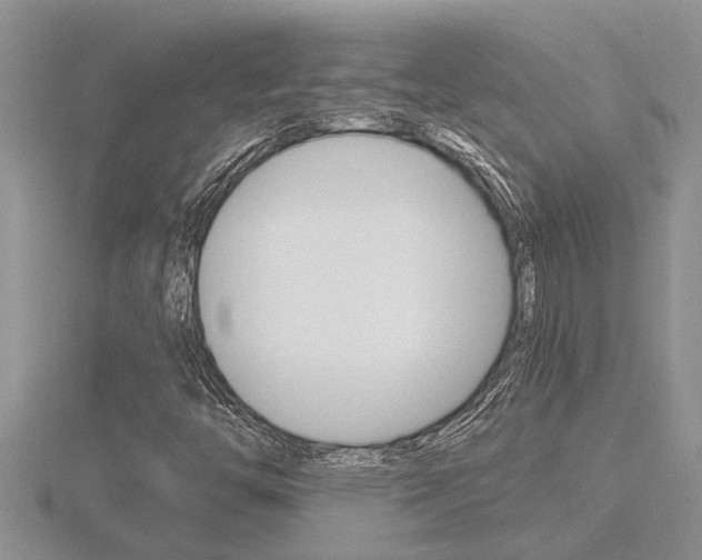 X0000116481446200912090916