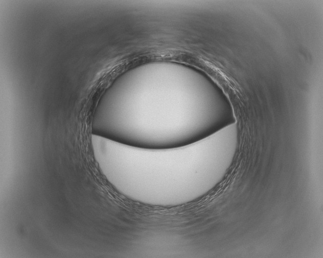 X0000116481447200912090916