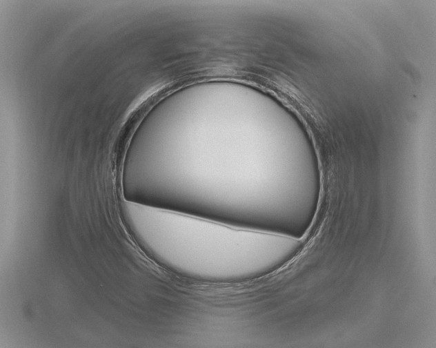 X0000116481450200912090916