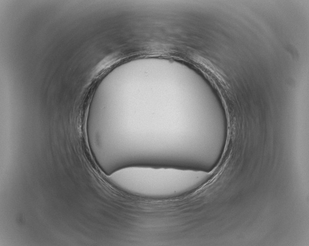 X0000116481451200912090916