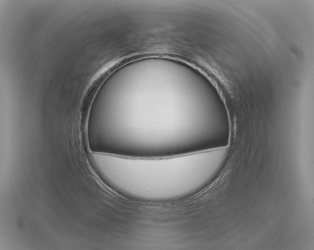 X0000116481452200912090916
