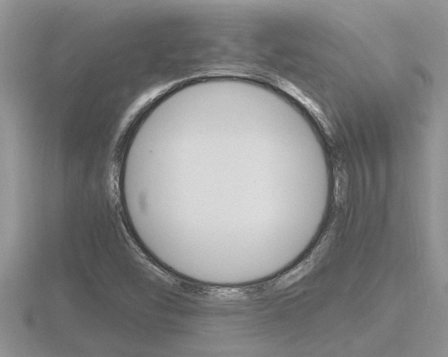 X0000116481454200912090916