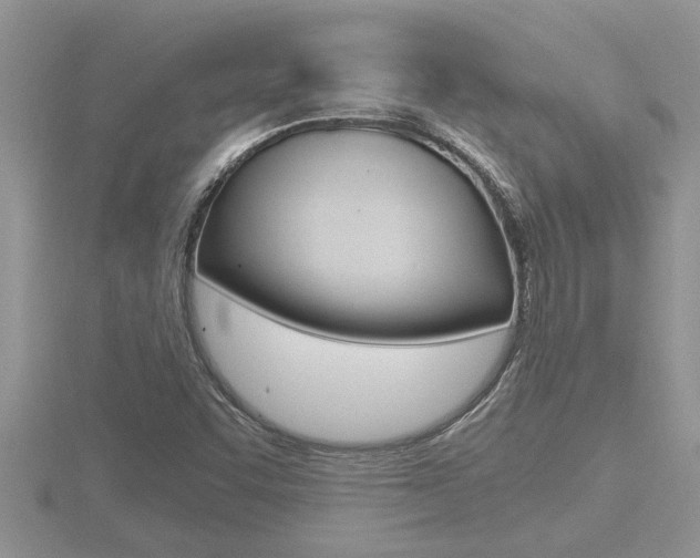 X0000116481455200912090916
