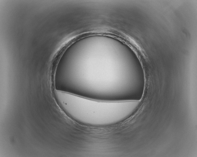 X0000116481456200912090916
